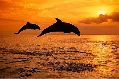 《战争机器：重装上阵》登陆PS5 跨平台联机测试6月开启