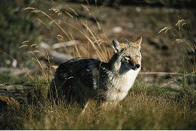 《PUBG》暑期网吧欢乐行活动开启